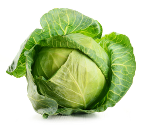 Chou frais de qualité supérieure-directement de la ferme à vous - Product Image 4