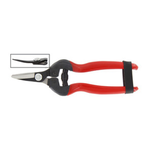 Forbici per Uva con Lame Curve Professionali Rif.21095 - Product Image 1