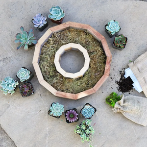 Kit de cadre de succulente pour guirlande de décoration intérieure en vente en gros pour jardin avec <span class=keywords><strong>fleurs</strong></span> artificielles produit agricole à prix économique - Product Image 1