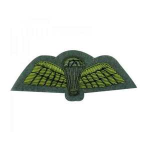 Insignia de Piloto de Avión, Estilo Militar, Color Blanco Dorado, con Alas de Hilo Metálico, para Capitán o Estudiante de Piloto, Venta al por Mayor - Product Image 1