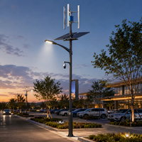 Lampadaire solaire LED IP65 de haute qualité et à faible coût pour systèmes solaires éolien-extérieurs