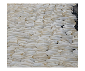 Hueso de calamar y sepia de alta calidad para exportación/DE FÁBRICA DE Vietnam Stock, seguro para mascotas, OEM/ODM disponible, Exportación rápida, precios a granel - Product Image 4