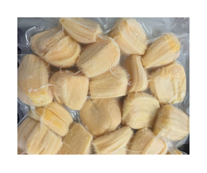 ขนุนแช่แข็งแบบเวียดนามสำหรับผู้ซื้อขายส่ง - Product Image 1