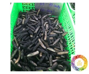 Chất Lượng Cao Khô Dưa Chuột Biển Bán Buôn Giá Tốt Nhất Khô Dưa Chuột Biển Xuất Khẩu Khô Hoang Dã Thực Phẩm Biển Từ Việt Nam Great Deals - Product Image 4