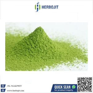 ผงพริกเขียวแห้งแบบพ่นฝอยเกรดพรีเมียมคุณภาพเยี่ยมจากเฮอร์โบจิต อินเตอร์เนชั่นแนล ผลิตในอินเดีย ราคาพิเศษ - Product Image 6
