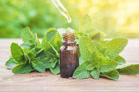 Aceite de Hierbabuena 100% Puro de Alta Calidad de la India para Uso en Aromaterapia y Cosmética - Product Image 4