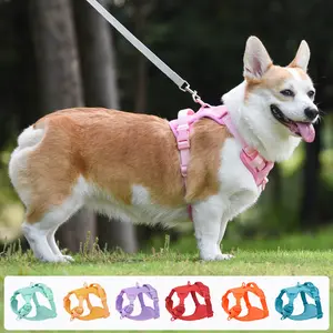 Premium-OEM-Logo individuelles Luxus-Recycling-Schwergewichts-Nichtzieh-Anpassungs-Neopren-Hundegarnitur ohne Zugriff für einfachen Spaziergang mit Griff