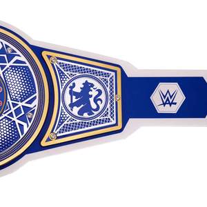 X Legacy Cinturón de título de campeonato personalizable de alta calidad para adultos para estilos de lucha de Karate MMA Equipo de artes marciales - Product Image 5