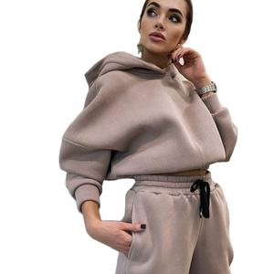 Conjunto de 2 piezas informal de trabajo para mujer de talla grande personalizado pantalones de chándal con capucha bordados colección de otoño tela de algodón - Product Image 1