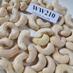 Noix de cajou Kaju en vrac bon marché WW210 Noix et amandes SANTIGO exportées vers les noix sèches du Moyen-Orient - Product Image 1