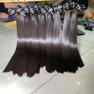 100% Extensions de Cheveux Humains Naturels Vierges Cheveux Raides Premium Luxe Vietnamien de Fournisseurs Usine du Vietnam - Product Image 1