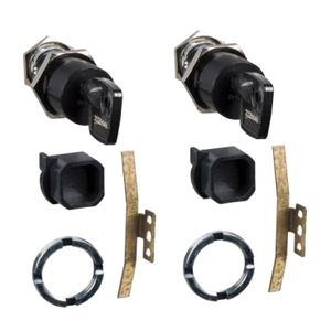 Per Schneider Electric 64911 MasterPact NT Drawout Profalux Keylock 2 serrature Relè di protezione con blocco chassis e protezione da disconnessione - Product Image 1