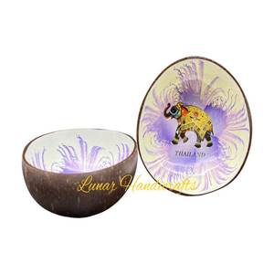 El mejor precio 100% cuencos de cáscara de coco desechables naturales con logotipo personalizado directo de Vietnam pulido - Product Image 6