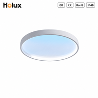 Nuevo Modelo 2026, Lámpara de Techo LED Skyline Moderna de Aluminio con Efecto Dinámico para Hogar y Oficina, 60W, 1800-12000K, CRI>95, IP40, 5 Años de Garantía