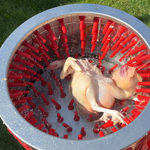 EURO PPM B plumeuse de poulet facile à utiliser et à entretenir plumeuse ferme usage domestique - Product Image 1
