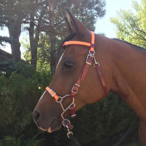 Brida de PVC de caballo inglés ecuestre al por mayor de alta calidad, accesorios personalizados de varios colores de cuero genuino - Product Image 3