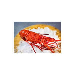 Langouste australienne congelée pour restaurants et distributeurs mondiaux - Product Image 2