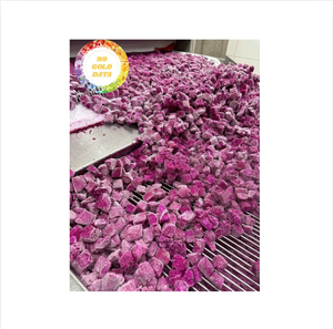 Fruta de dragón congelada, auténtica fruta tropical, fuente de Vietnam, adecuada para la producción de jugo, batidos para cubrir alimentos - Product Image 1