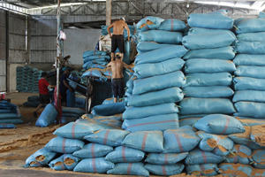 Bloc de substrat de culture en fibre de coco du Vietnam pour le marché d'exportation - Product Image 4