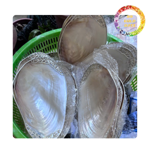 Unique polished mother of pearl shell plate | Eco-friendly handmade seashell dish for home decor | Viet Nam origin - Product Image 1
