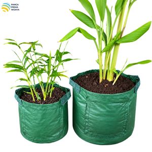 Sac de culture de rhizomes de haute qualité en HDPE stabilisé aux UV, 29x24 cm, avec fenêtre de récolte - Product Image 4