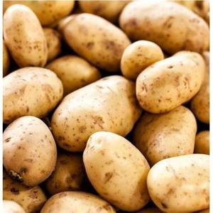 Pommes de terre biologiques fraîches de Thaïlande, de haute qualité et d'origine positive, vente directe - Product Image 1