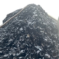 GREENFIRE VIETNAM Charbon actif de noix de coco de la plus haute qualité, 100% pur, 75-80% de teneur en carbone, charbon noir pour chicha