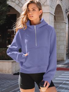 Automne Hiver En Gros À Capuche Demi Zip À Capuche Femmes Lâche À Manches Longues Demi Zipper Hoodies Pour Les Femmes - Product Image 3