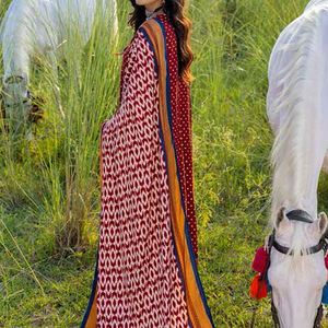 Vêtements pakistanais Salwar Kameez vêtements ethniques pour femmes vêtements pour femmes robe Punjabi Salwar Kameez costume vêtements pour femmes - Product Image 2