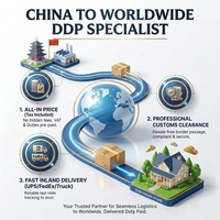 Expédition maritime DDP LCL FCL, transitaire Chine vers Royaume-Uni, service porte-à-porte avec dédouanement rapide, agent logistique