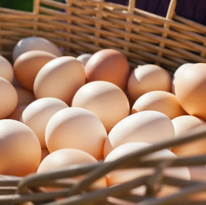 Œufs de table frais et biologiques de volaille de chair |   Œufs emballés de qualité supérieure halal - Product Image 3