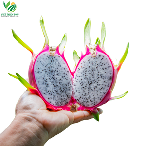 ผลไม้มังกรแช่แข็งจากธรรมชาติจาก100% เก็บเกี่ยวได้โดยตรงในสวนเวียดนามหั่นเป็นชิ้นครึ่งรูปแบบที่มีรสหวานจำนวนมาก - Product Image 5