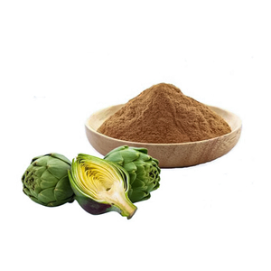 Polvo de alcachofa natural sin azúcar añadido extracto vegetal de alcachofas suministrado a granel - Product Image 1