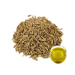 Huile de graines de cumin biologique pressée à froid 100% approvisionnement en gros pur avec un prix compétitif qualité d'exportation d'egypte de qualité supérieure - Product Image 3