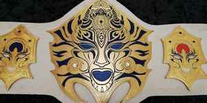 เข็มขัดแชมป์ที่กำหนดเองรางวัลเหรียญและรางวัลสัญลักษณ์สูงสุดของชัยชนะและเข็มขัดแชมป์ - Product Image 4