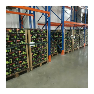 Lima verde fresca de Vietnam/limón de alta calidad sin semillas/100% cítricos agrios naturales con sabor auténtico - Product Image 3