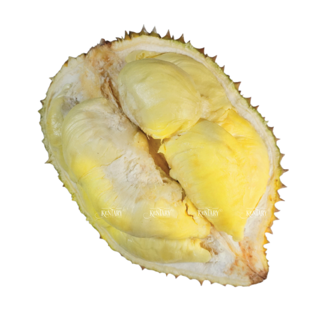 Premium Quality Fresh Durian Fruits Healthy Export Wholesale-Natural and Fresh Made in Vietnam Original Price