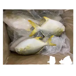 Hete Verkoop Hoge Kwaliteit Frozen China Boerderij Grootgebracht Gouden Pompano Vis Halal Gouden Pompano Groothandelsprijs