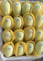 Premium biologische natuurlijke zoete verse mango AA-kwaliteit beste kwaliteit en prijs uit Vietnam