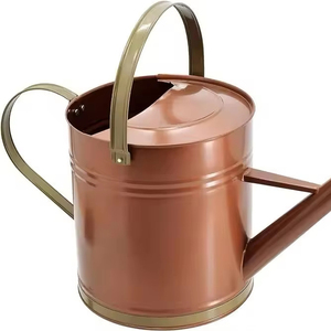 Arrosoir de jardin en acier inoxydable à long bec avec buse détachable arroseur de fleurs en métal intérieur et extérieur - Product Image 1