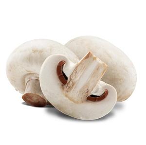 Champignon frais et blanc congelé au meilleur prix vente en gros - Product Image 1