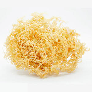 Algues eucheuma cottonii d'excellente qualité, vente en gros de mousse de mer irlandaise d'or biologique au prix le plus bas - Product Image 4