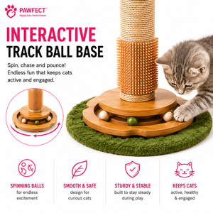 Arbre à chat simple en sisal avec griffoir pour chats, emballé en carton - Product Image 3