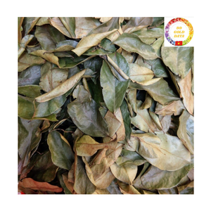 Feuilles de graviola séchées de qualité d'exportation du Vietnam pour le thé aux feuilles de corossol - Product Image 1