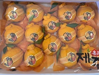 [Bbungja Jeju Gyul Farm] Premium Koreaanse Hallabong Zoete Sappige Citrusvrucht Vers 10kg Graad A Uit Korea 35-50 stuks