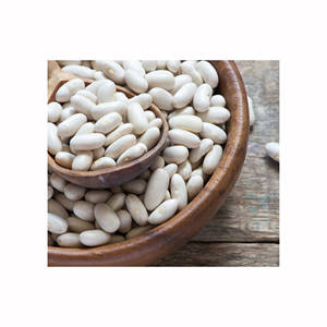 Frijoles blancos de primera calidad en venta, ideales para mercados de productos secos y legumbres. - Product Image 5