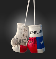Guantes de Boxeo Mini Personalizados y Duraderos con Diseño de Bandera de País, Llavero Colgante para Auto de Cuero PU, LAST STAR INDUSTRY, Bosnia, Grecia