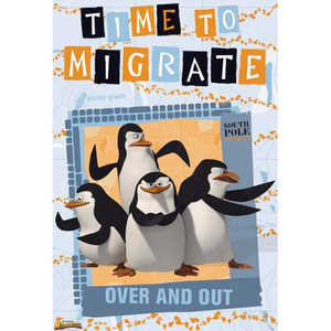 Carte postale souvenir de Madagascar pour la présentation et la réflexion sur votre séjour - Product Image 1