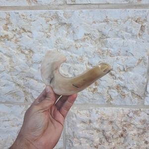 ฮอร์นโคเชอร์ฮอร์นของชาวยิวทำด้วยมือเป็นมิตรต่อสิ่งแวดล้อมทำจากธรรมชาติ - Product Image 3