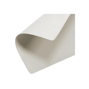 ZELLER Pack of 12 Present Placemat-Premium Place Mats - Product Image 2